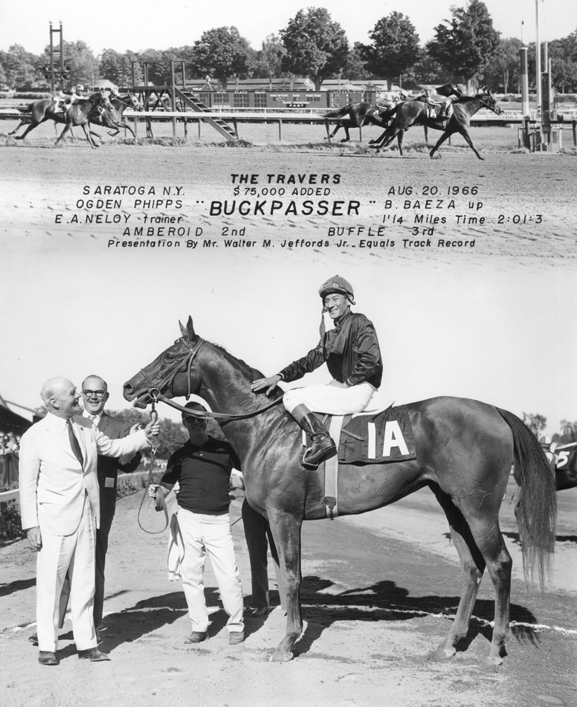 Win composite photograph for the 1966 Travers Stakes at Saratoga, won by Buckpasser (owned by Ogden Phipps) (NYRA/Museum Collection)