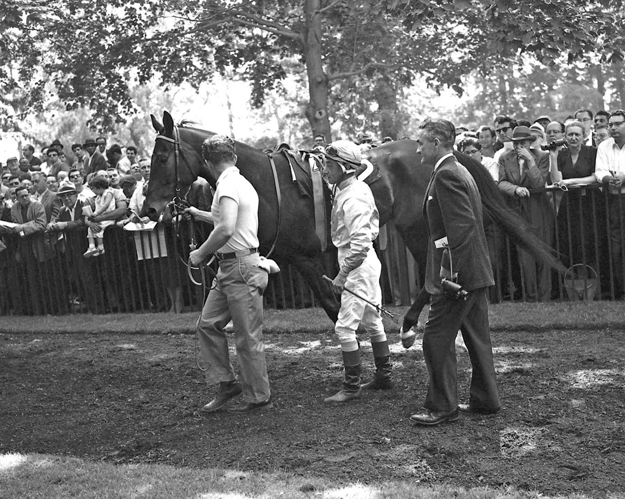 Eddie Arcaro and Carl Hanford greet Kelso in the Belmont paddock before the 1961 Whitney (Keeneland Library Morgan Collection)