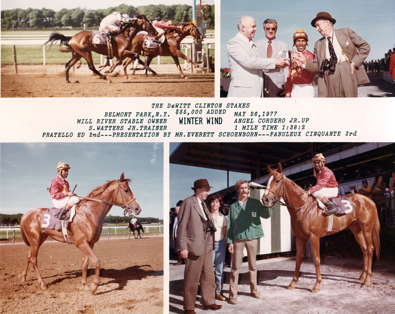 Win composite photograph from the 1977 DeWitt Clinton Stakes at Belmont, won by Winter Wind (Angel Cordero, Jr. up), trained by Sidney Watters, Jr. (NYRA/Museum Collection)