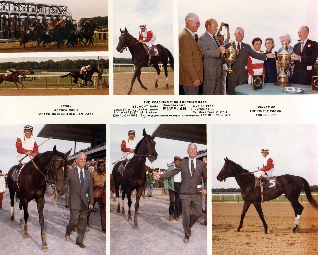 Win composite photograph from the 1975 Coaching Club American Oaks at Belmont, won by Ruffian (Jacinto Vasquez up), trained by Frank Whiteley, Jr. (NYRA/Museum Collection)